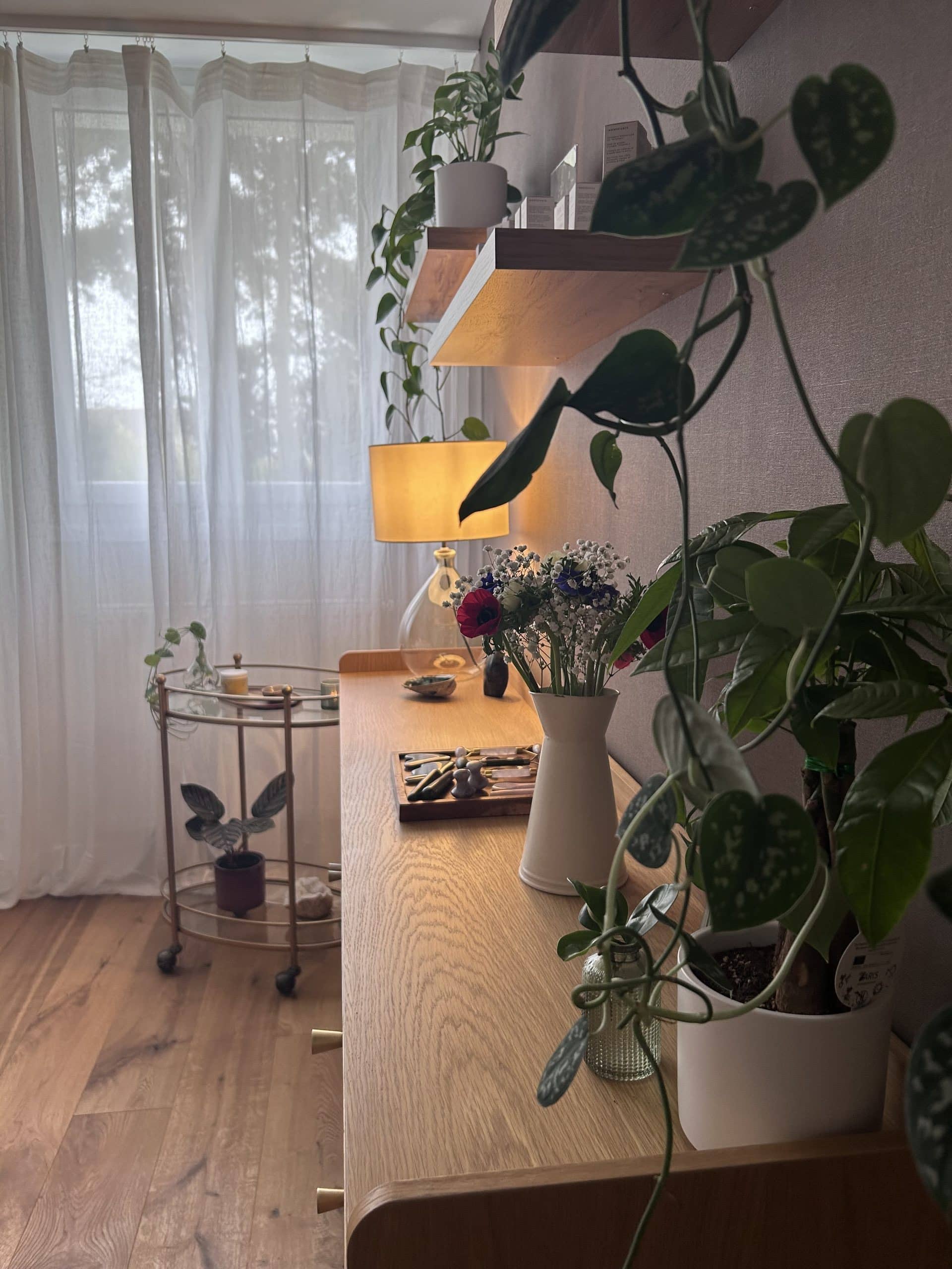 cabinet Agathe